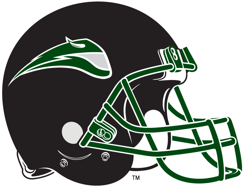 Portland State Vikings 1999-Pres Helmet Logo v2 diy DTF decal sticker